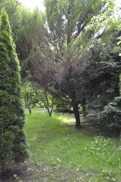 Leleka Hostel Esbly Εξωτερικό φωτογραφία